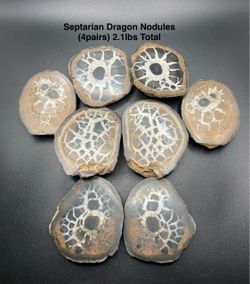 Septarian Dragon Nodules (4pairs) from Morocco 2.1lbs Total