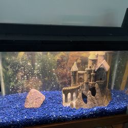 Aquarium Fish Tank 29 Gallons Freshwater