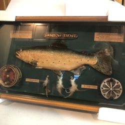 Rainbow Trout Shadow Box