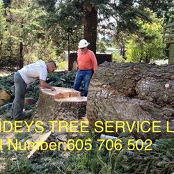 Barter Tree Cutting
