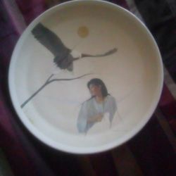 Native American Collector Plate