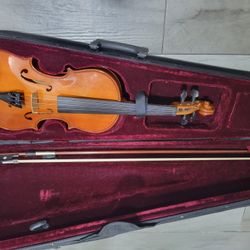 Acoustic Violin 