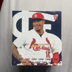 St. Louis Cardinals Kolten Wong Bobble head, Never Been Opened Except For Photo