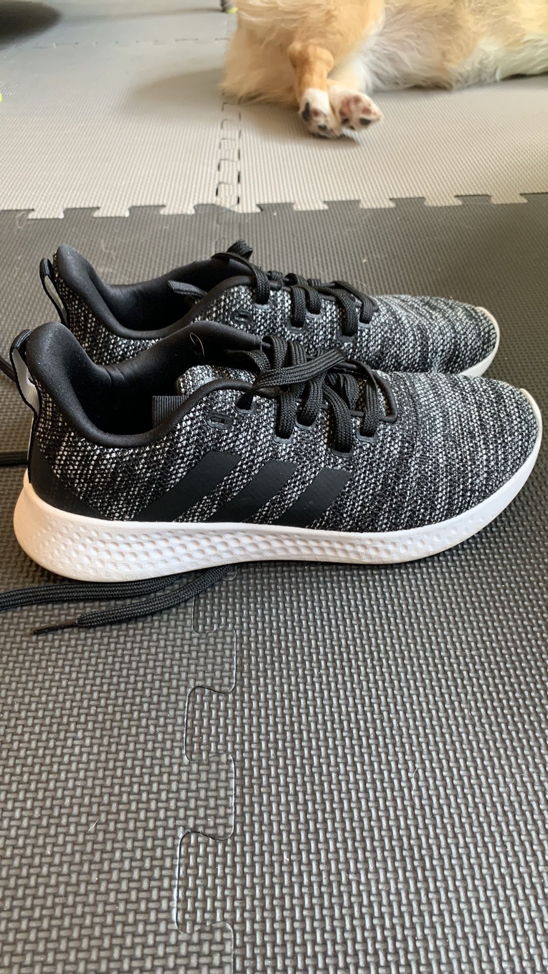 Women’s Adidas Cloudfoam Shoes