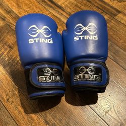 STING USA Boxing Gloves 12oz