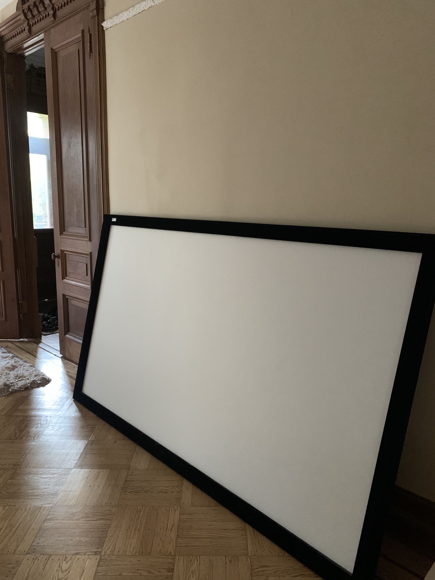 Projector Screen - 100” - Velvet Frame!