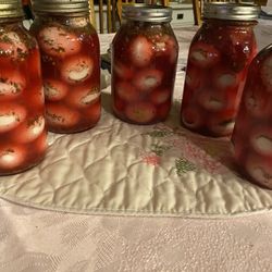 Pickled Eggs 