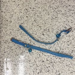 Cat Collars