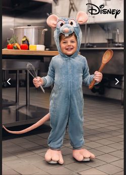 Original Disney Pixar Ratatouille Remy Rat Costume Warm Plush XXS Child 2T 3T