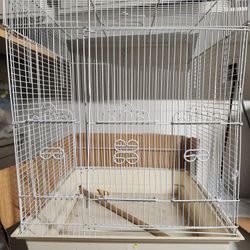 Bird Cage  24"x24"