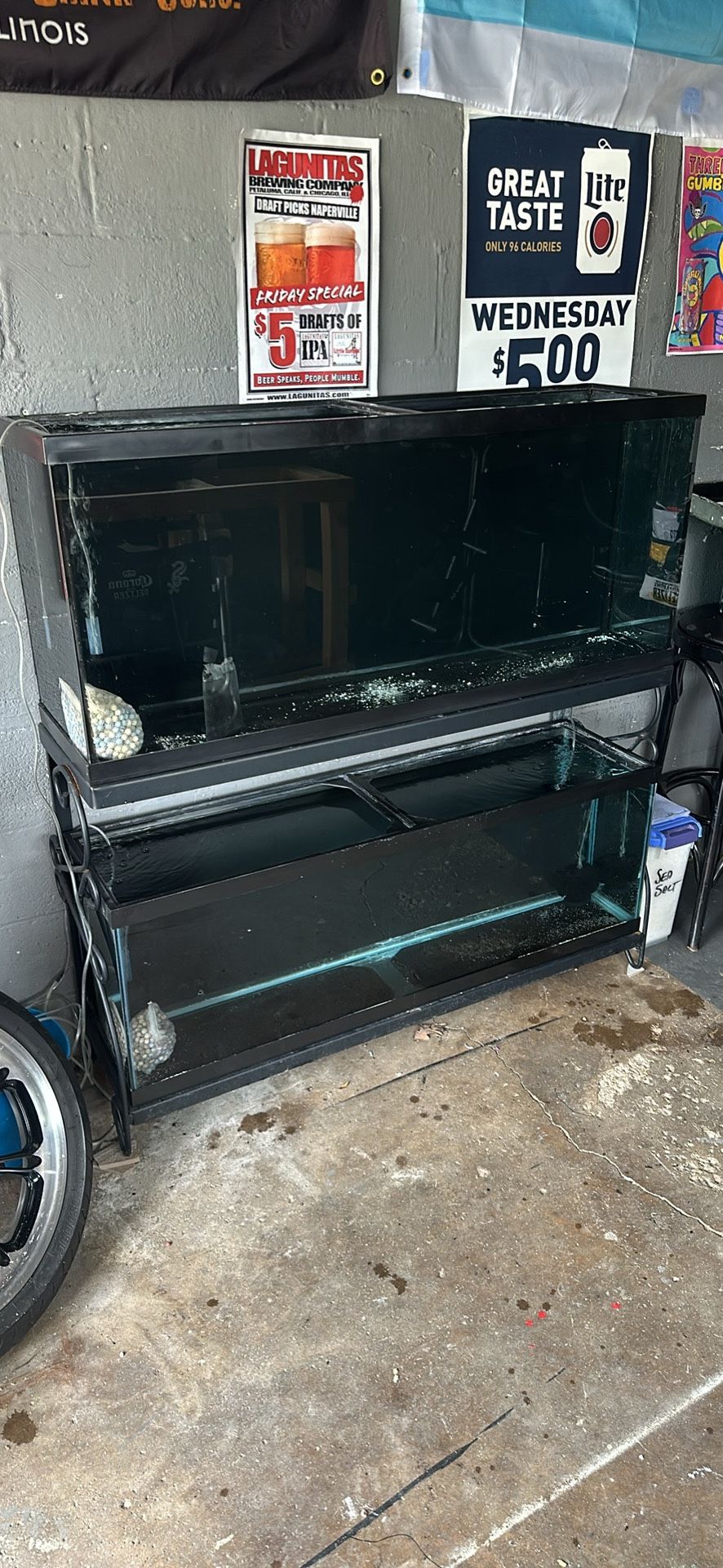 55 Gallon Aquariums