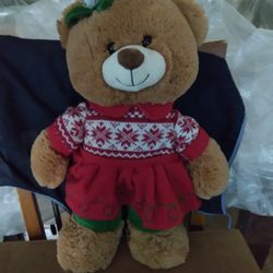 Osito De Peluche usado en buenas condiciones 