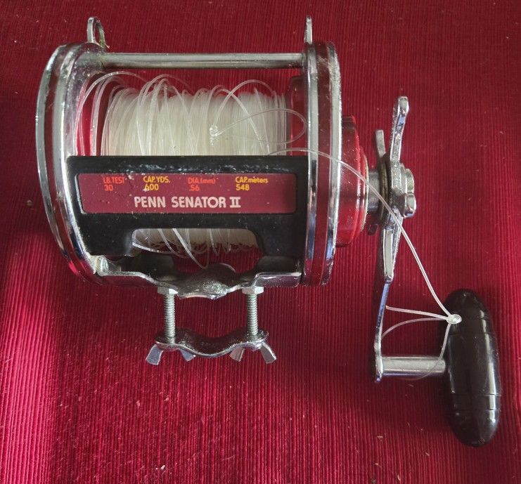 Penn Fishing 113H Special 4/0 Senator Saltwater Fishing Reel