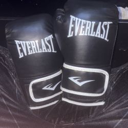 Everlast Boxing Gloves