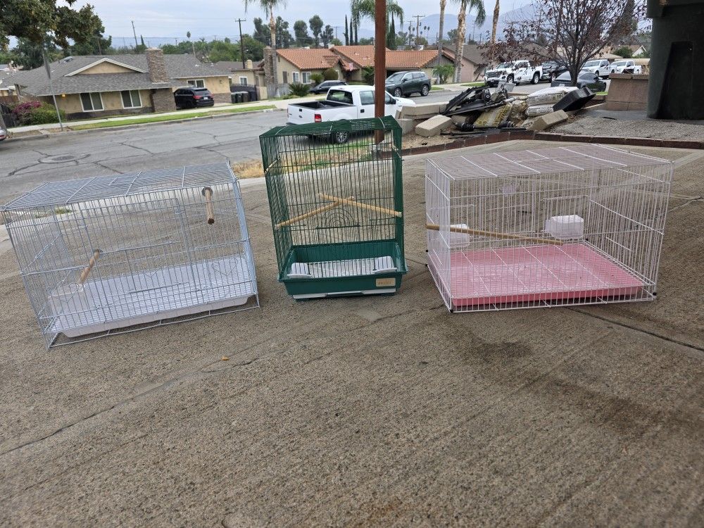 BIRD. CAGE