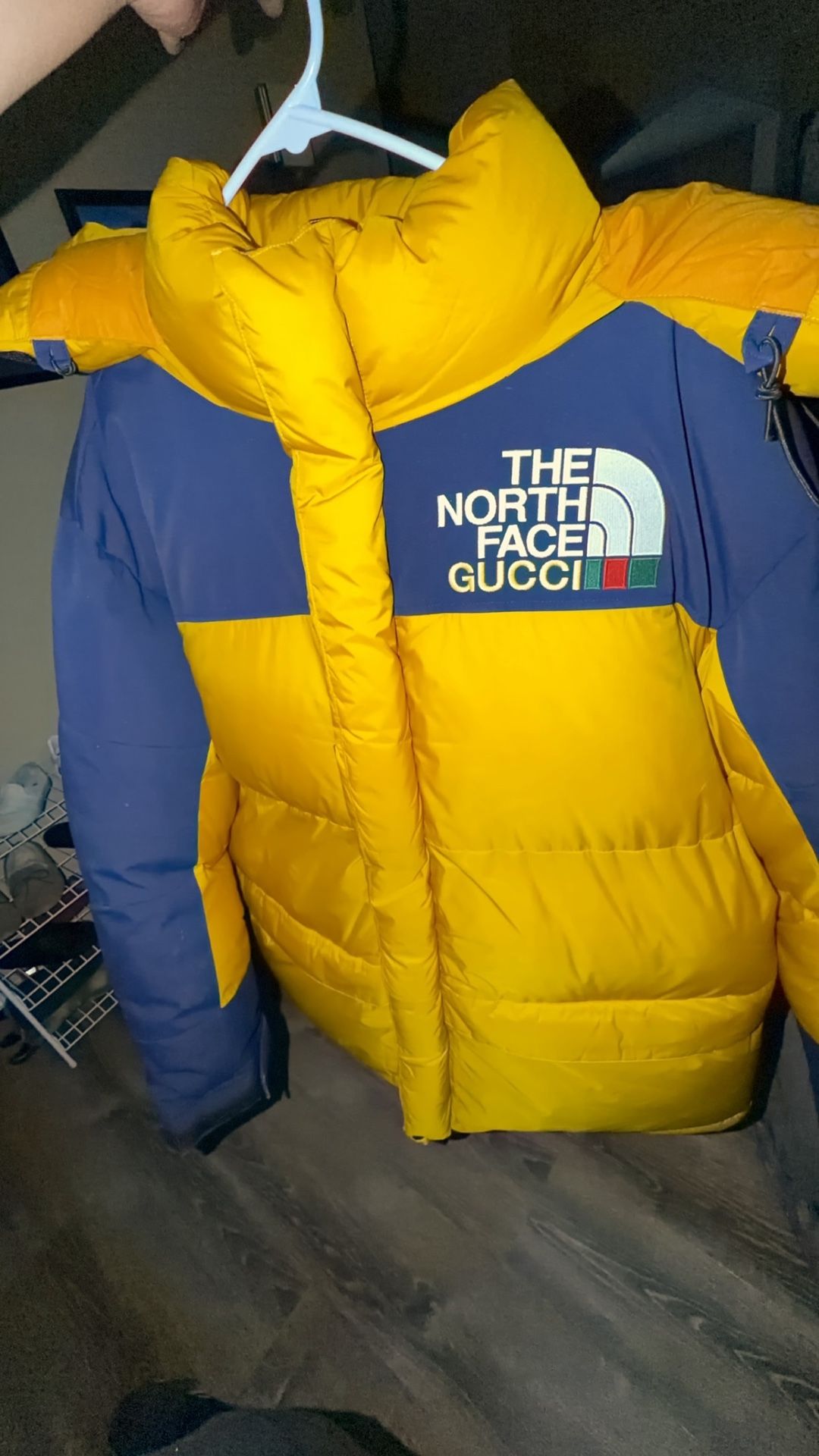 The north face x Gucci