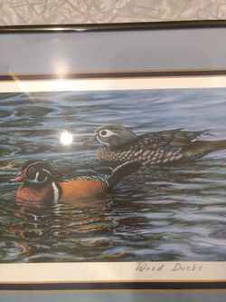 Signed Wood Duck print