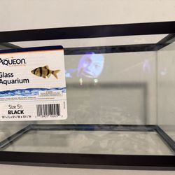 5 1/2 Fish Tank 