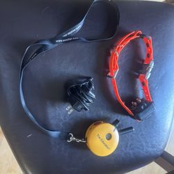 mini educator e-collar 