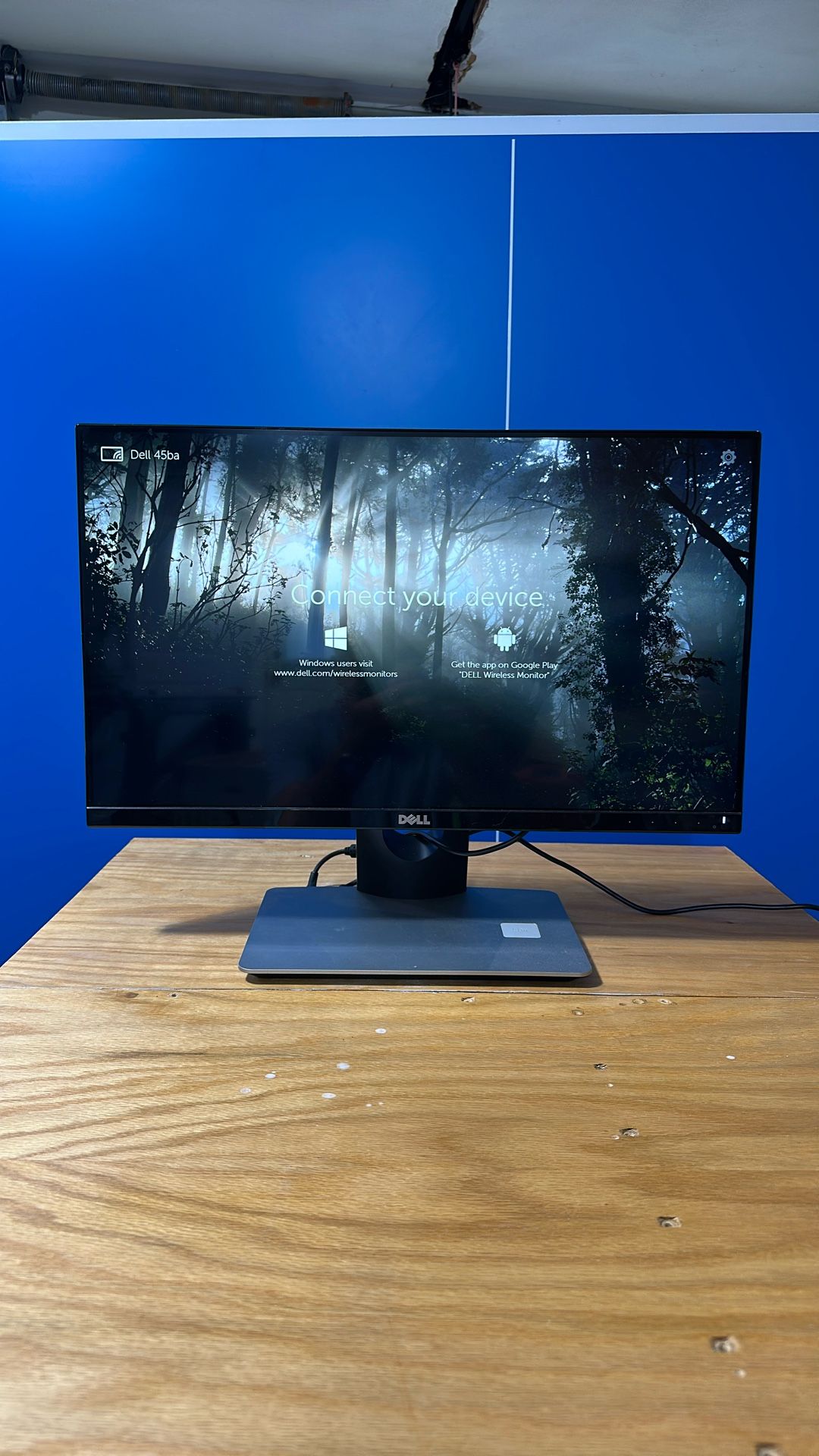 Dell Monitor