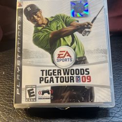 Tiger Woods PGA Tour 09