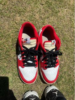 Nike Dunk Chicago Split. Size 10.5 men