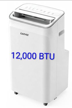 Last chance only  $100
