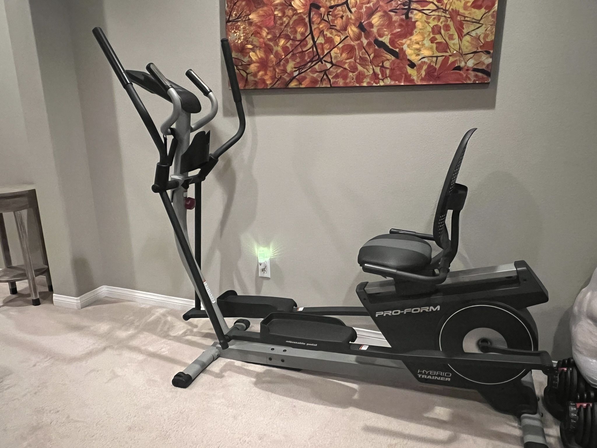 Pro Form Hybrid Trainer