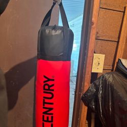 Kids Punching Bag And Gloves Set