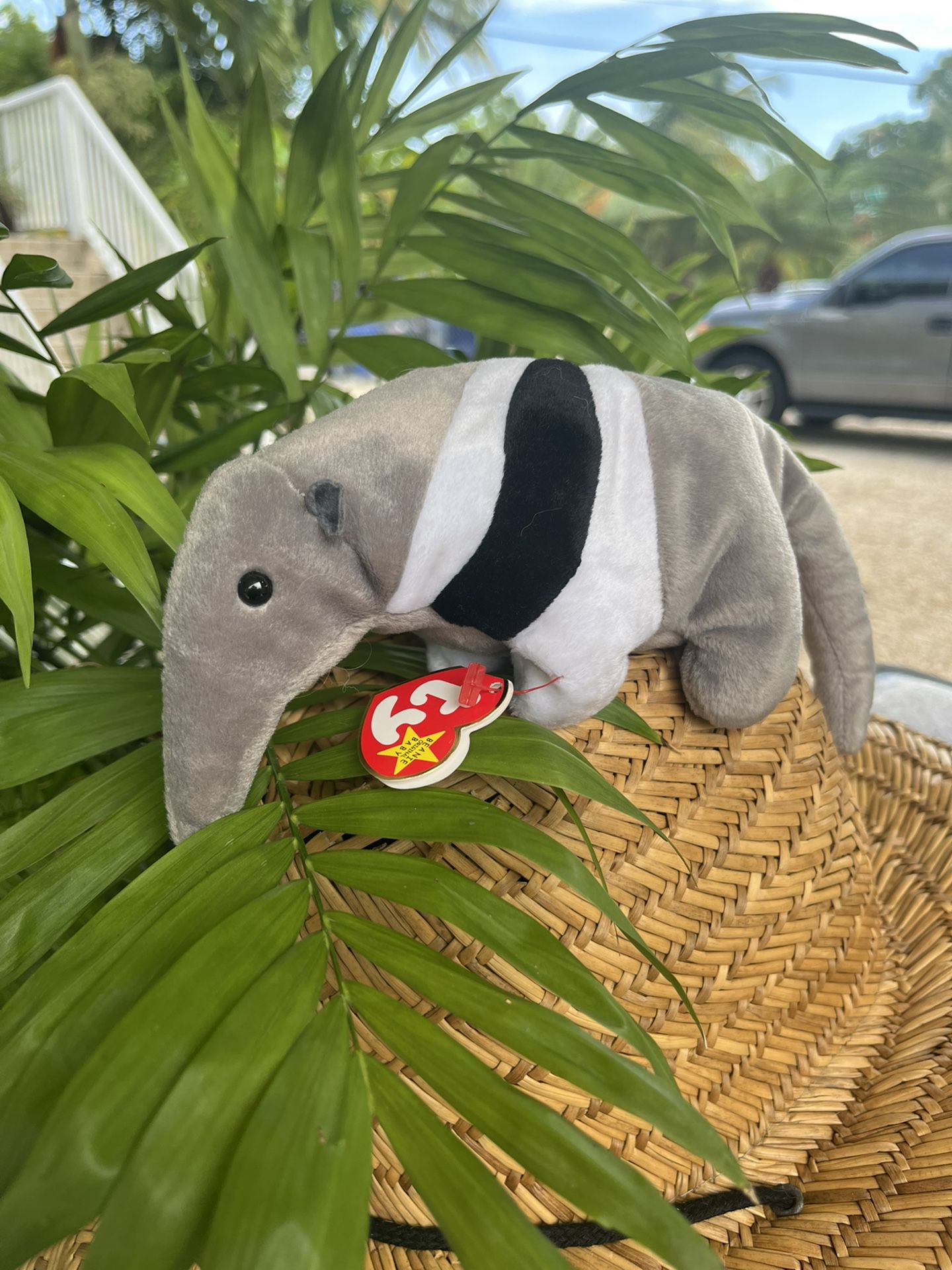 ty beanie babies ants the anteater 