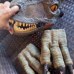 Raptor Mask