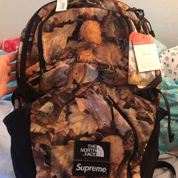 Supreme 2016 leaves x north face backpack