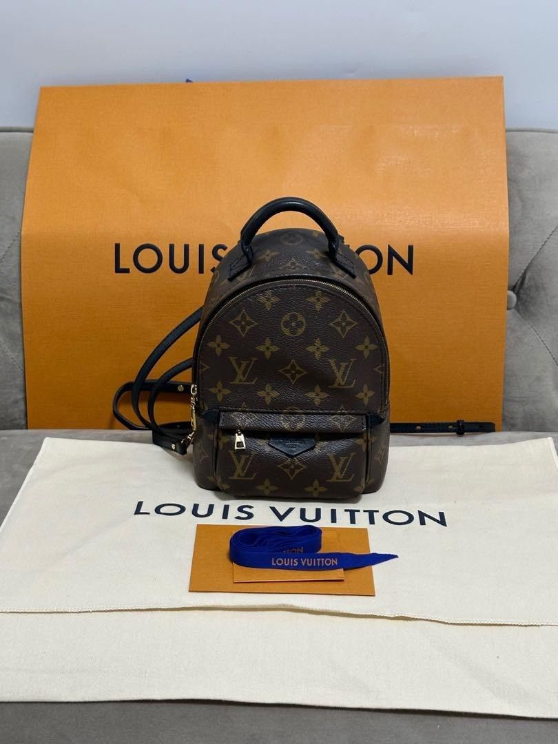 Louis Vuitton Palm Springs Mini Handbag