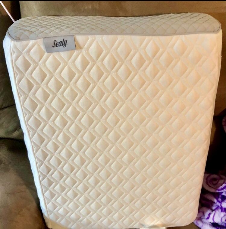 Sealy Contour Pillow