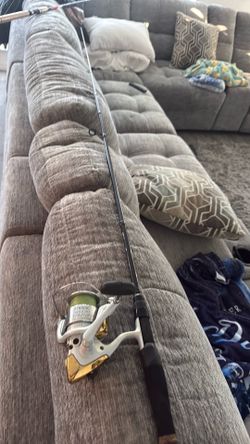 Stradic 4000fh with stratus rod