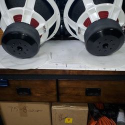 Custom 18" Subwoofers