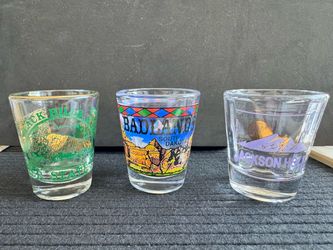 Set of Scenic Shot Glasses