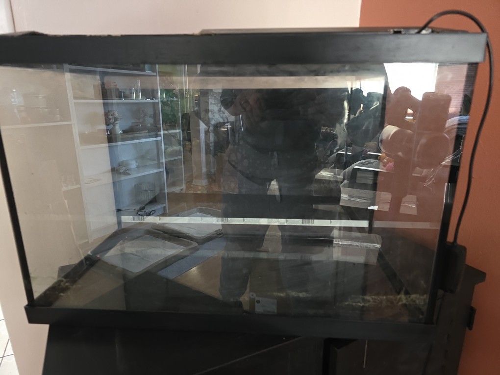 20 Gallon Aquarium