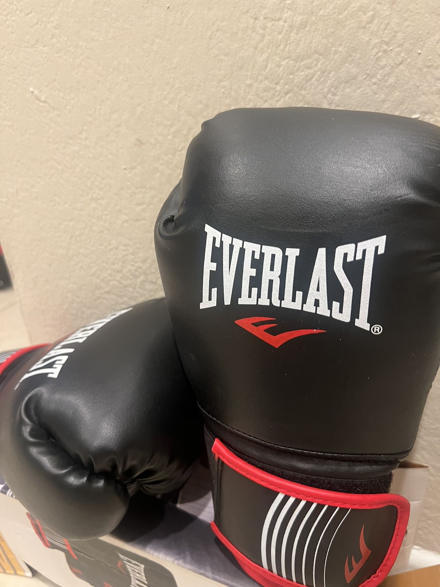 Everlast Boxing Gloves