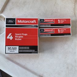Spark Plugs