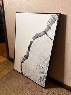 Wall Decoration 2 Tree Ring Stump Art and Abstract Art