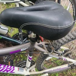 Genesis 26” Whirl Wind Mountain Bike 