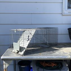 Wire trap for wildlife animals