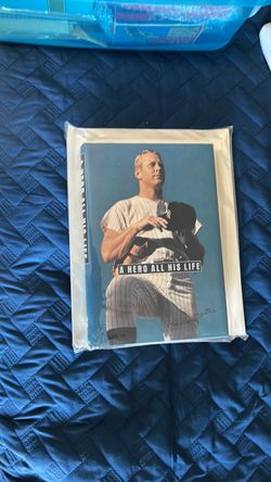 Mickey Mantle book