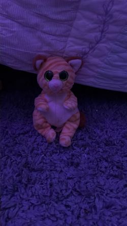 Orange tabby stuffed animal squishy