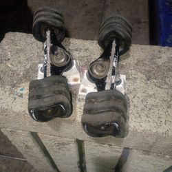 Shark Wheels With Dgk Trucks