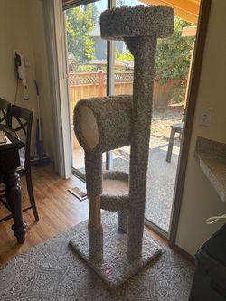 5 ft sturdy cat tree