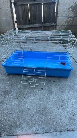 Guniea Pig Cage 