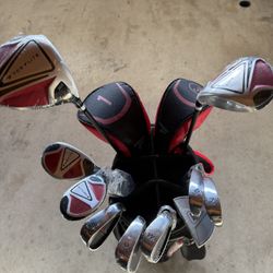 TOP FLITE Men's 13-Piece  Golf Club Set Graphite Senior Flex RH