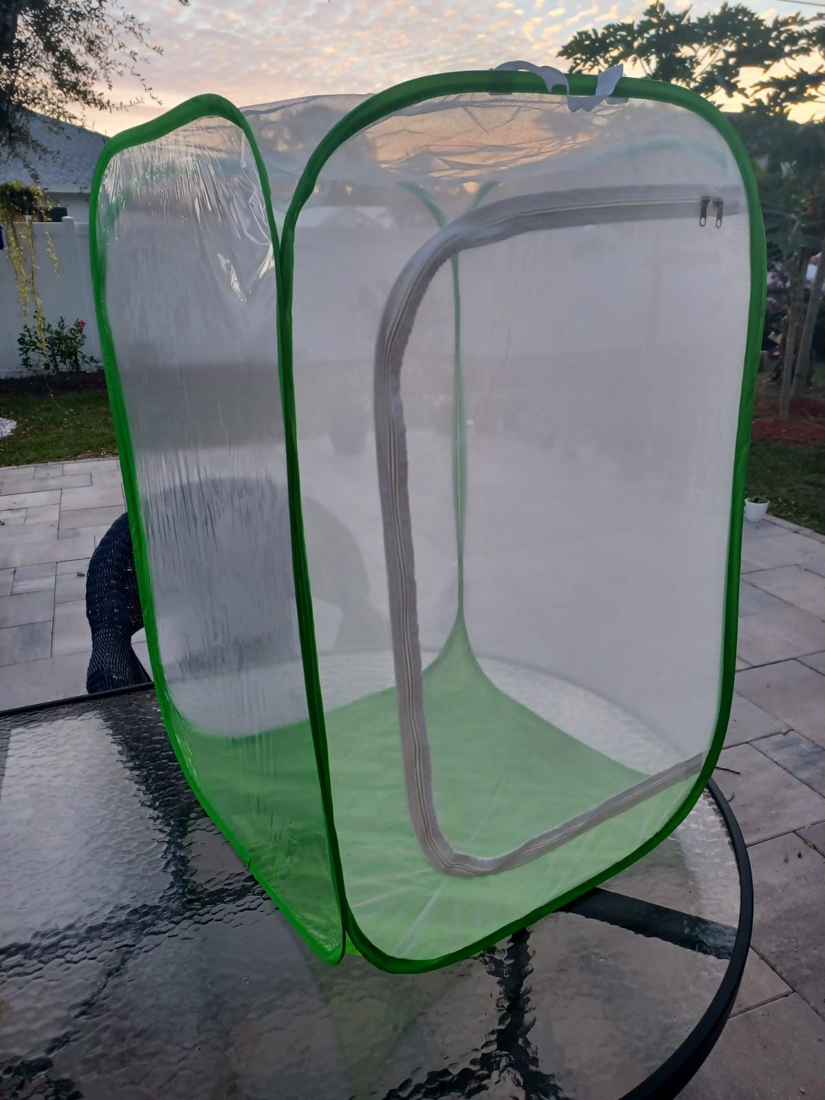 Butterfly 🦋 Habitat Mesh Cage